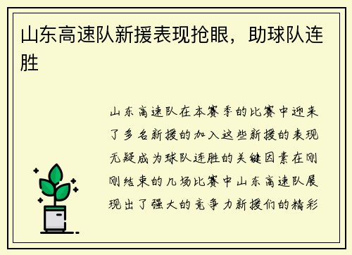 山东高速队新援表现抢眼，助球队连胜