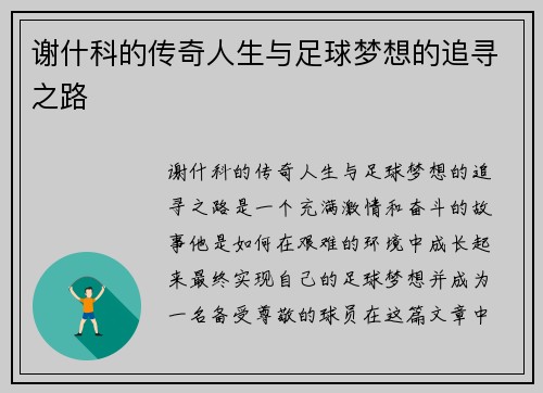 谢什科的传奇人生与足球梦想的追寻之路